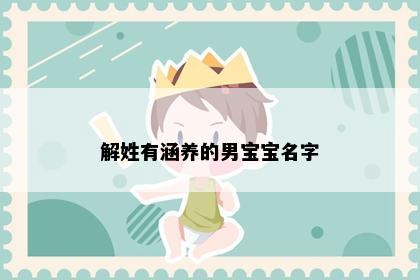 解姓有涵养的男宝宝名字